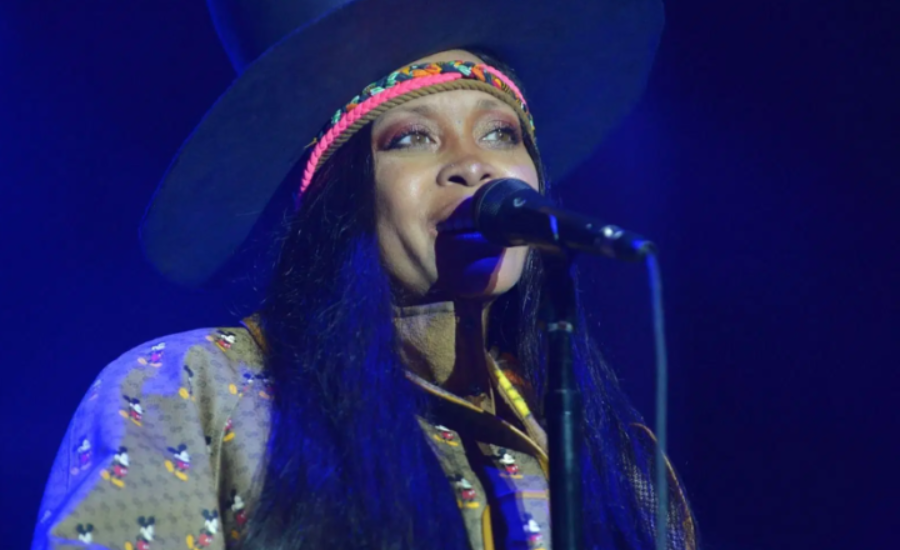 erykah badu net worth